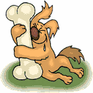 Mammals starting with Z