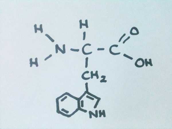 amino acid structures quiz 20 questions single letter amino acid